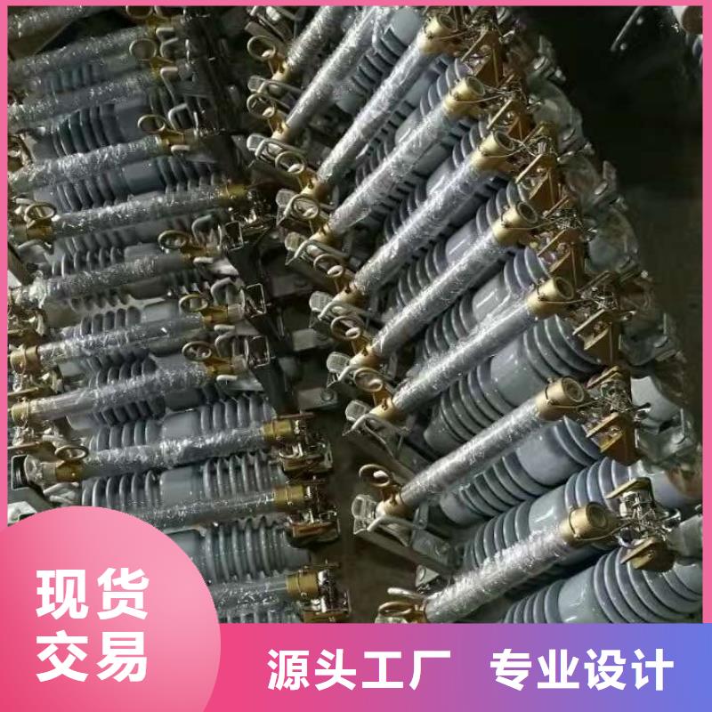 户外高压跌落式熔断器熔丝具RW12-10F/100A