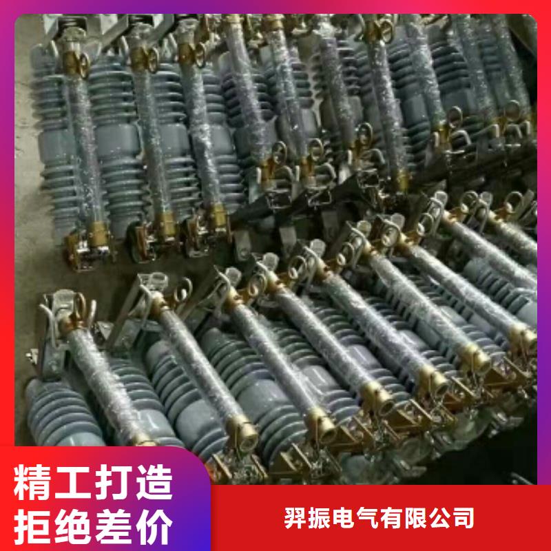【跌落式熔断器】RW12-10/100A浙江羿振电气有限公司