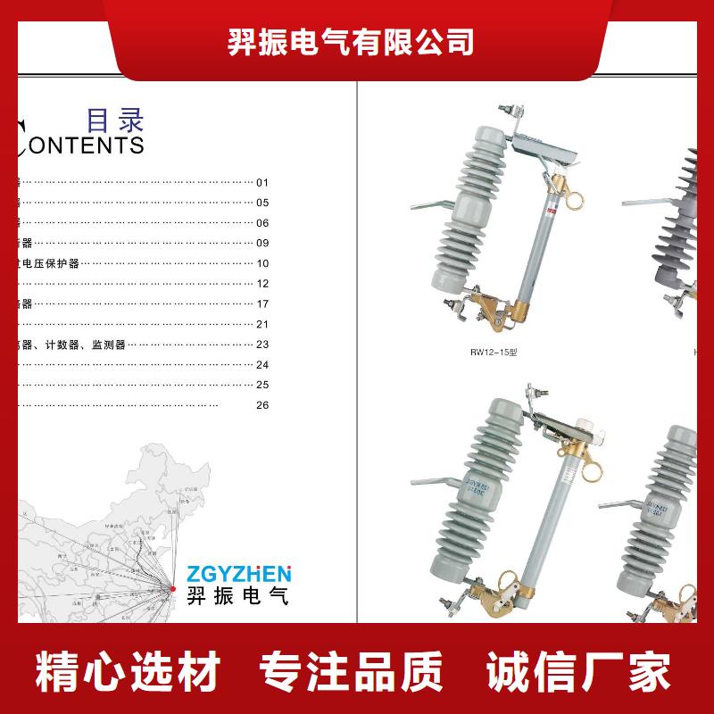 高压隔离开关-【金属氧化物避雷器】专注细节更放心