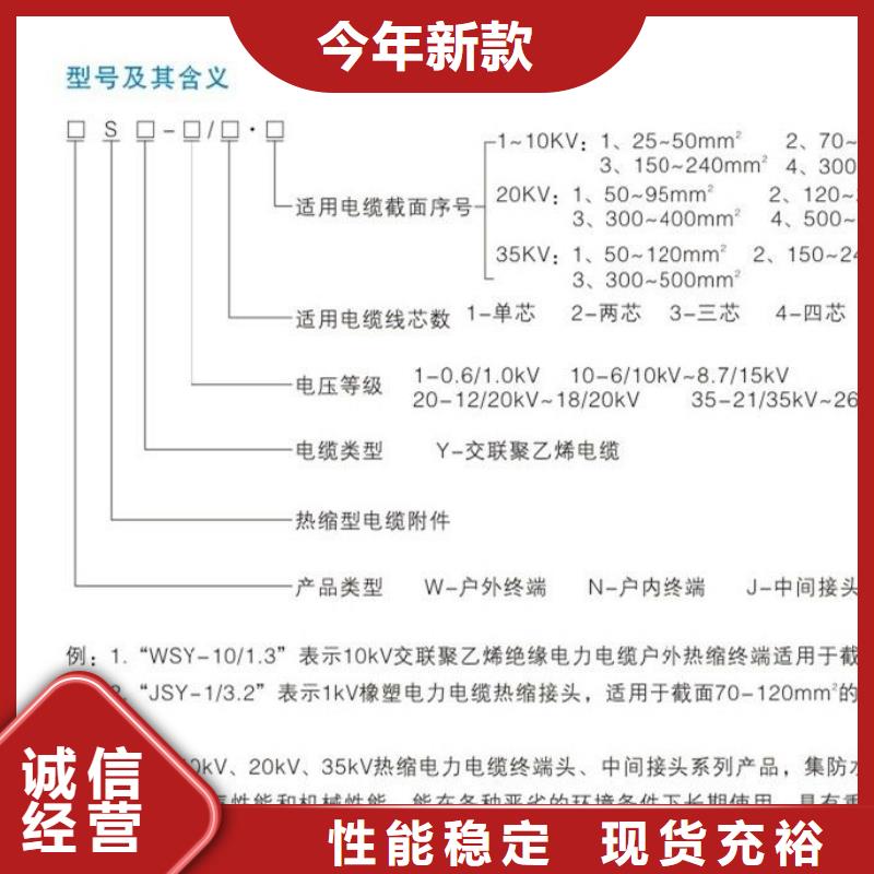 户外热缩电缆终端头RSWY-3/3-35KV