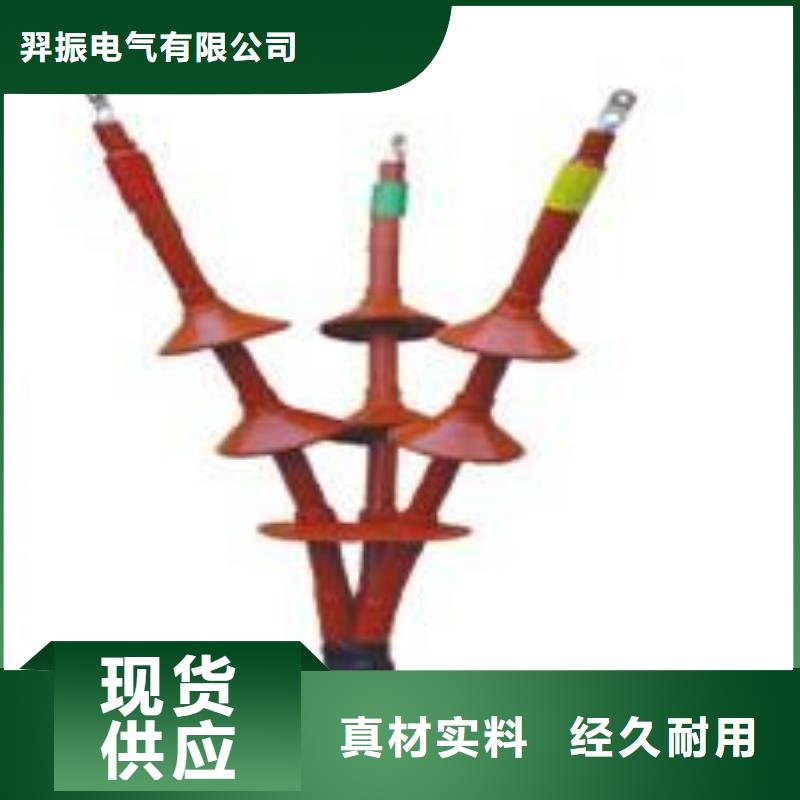 戶內(nèi)冷縮電纜終端頭NLS-35/1.1