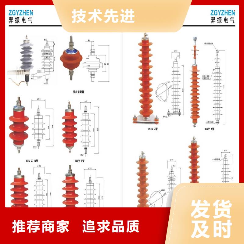 避雷器YH10W-102/266G【羿振电气】