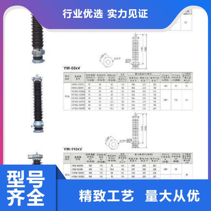 【羿振电气】避雷器Y5WT-84/240