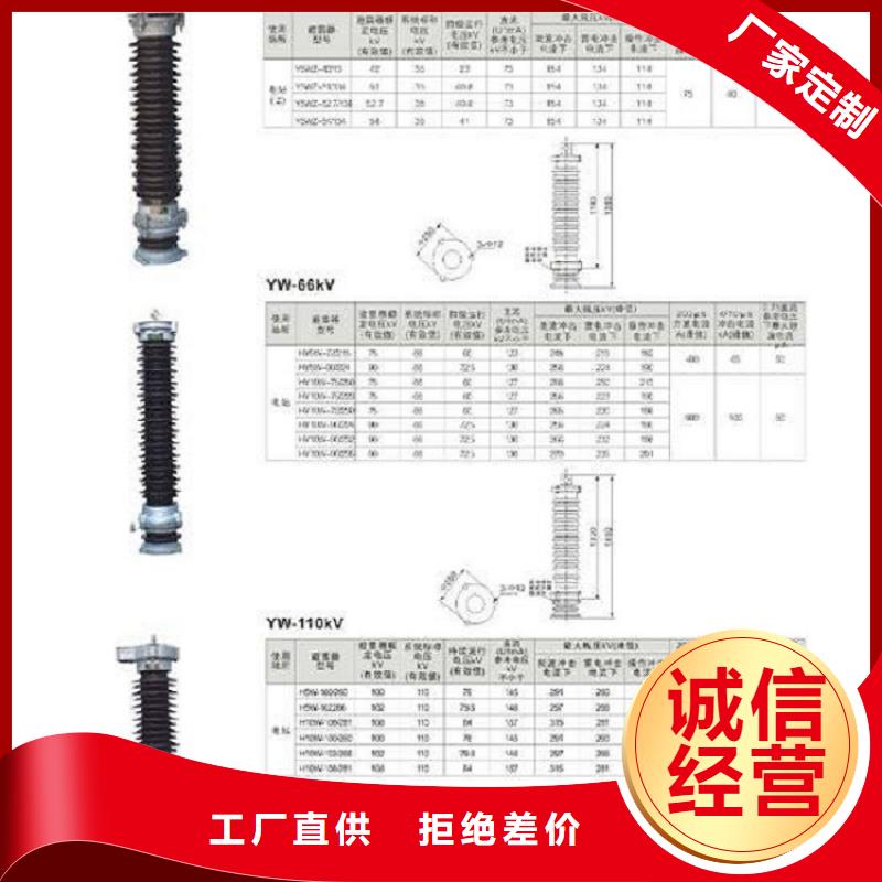 瓷外套金属氧化物避雷器Y10W-200/520【浙江羿振电气有限公司】