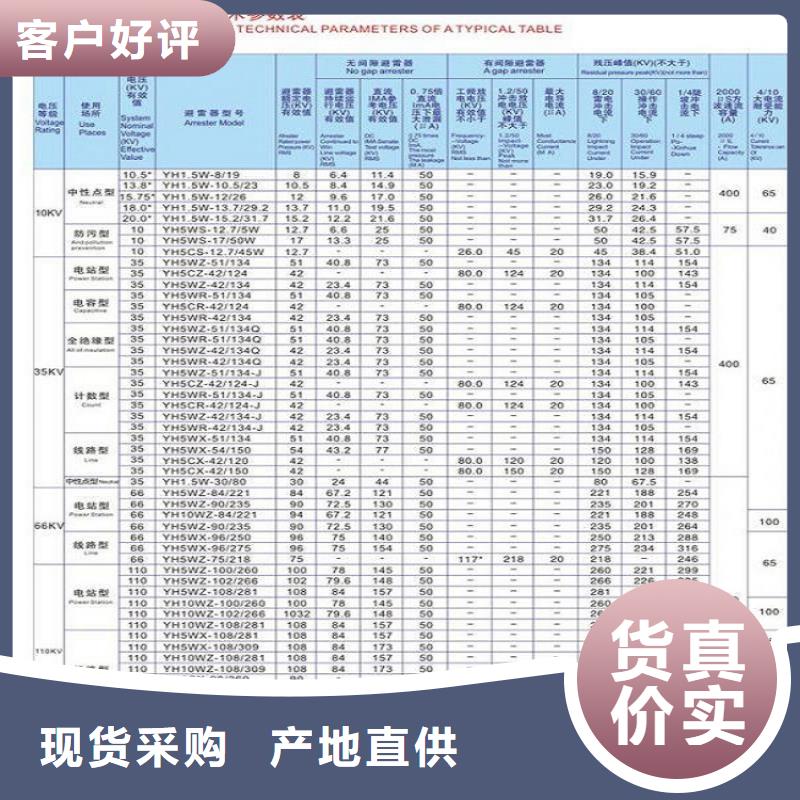 避雷器YH5WS-17/45L