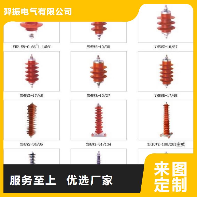 高原型复合避雷器YH10WZ5-51/134GY-J（带计数器）【羿振电力】