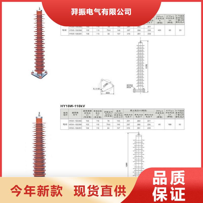 避雷器Y1W-73/200【羿振电气】