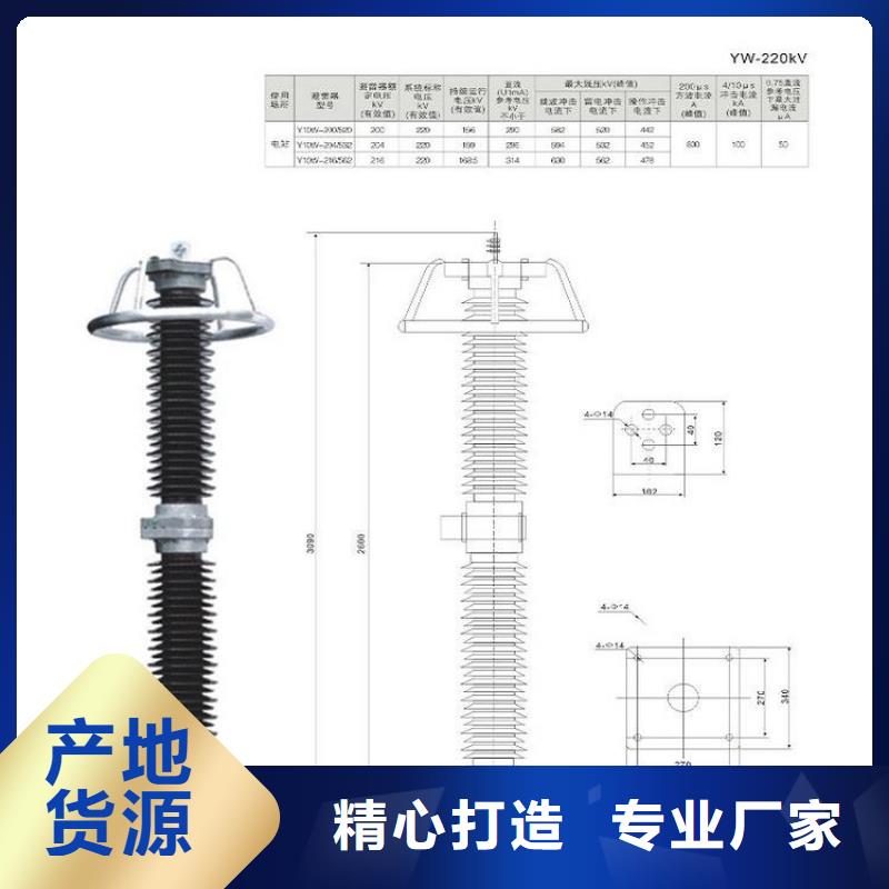 氧化锌避雷器YH10WZ-100/260【浙江羿振电气有限公司】