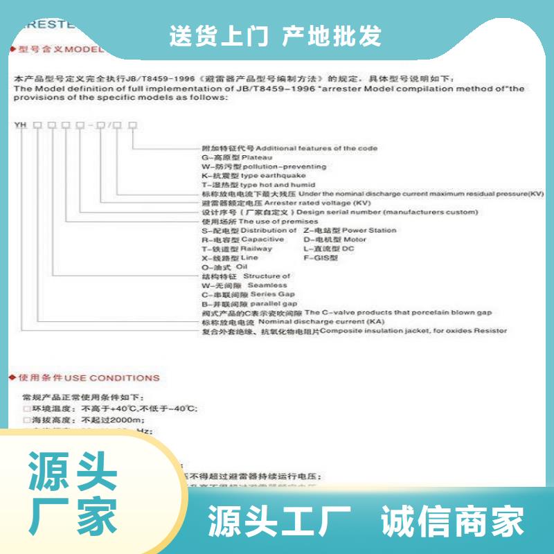 避雷器YH10WZ-100/260 【羿振电气】