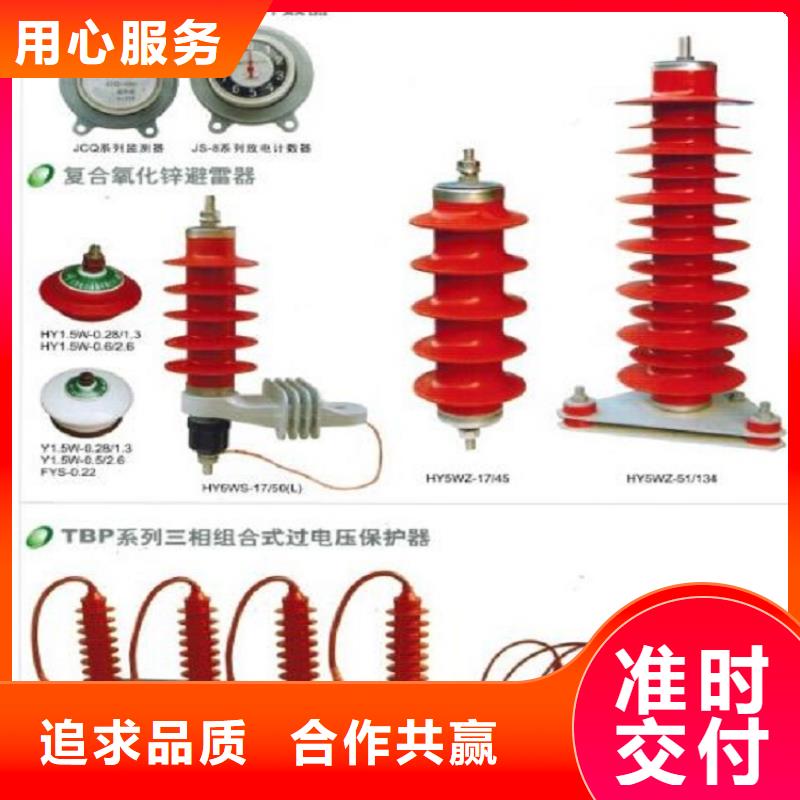 【白沙县】避雷器Y10W1-200/496【羿振电气】