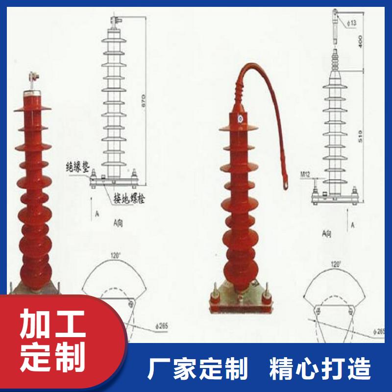 HY10WX-51/134【羿振电力】