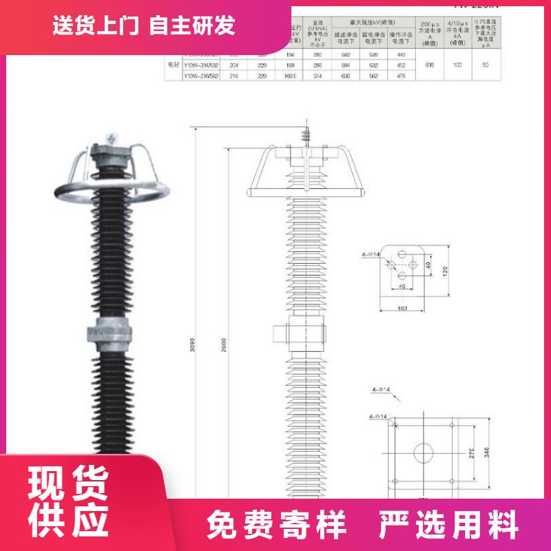 避雷器Y10W5-96/250