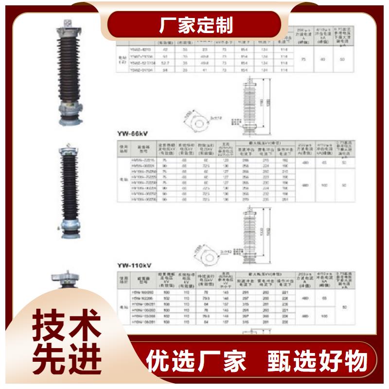 跌落式避雷器HY5WS-17/50DL-TB