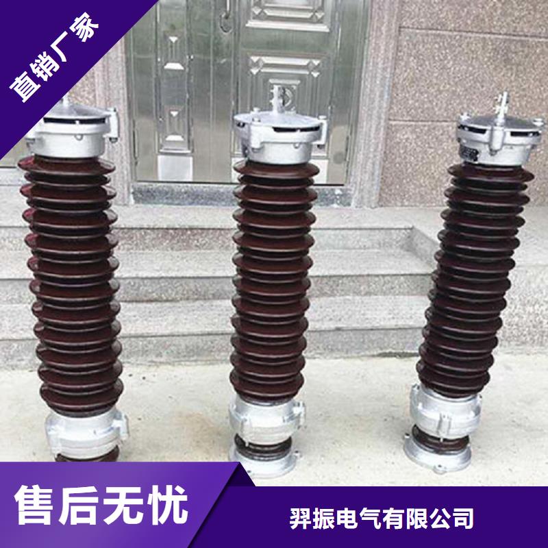 避雷器Y10W5-216/562