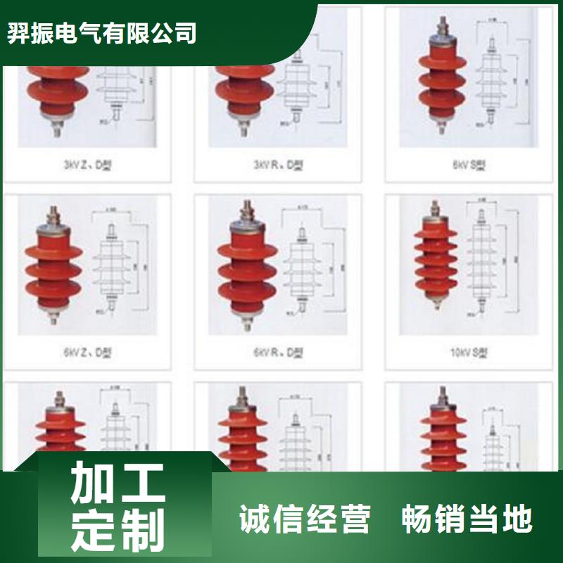 【白沙县】避雷器Y10W1-200/496【羿振电气】