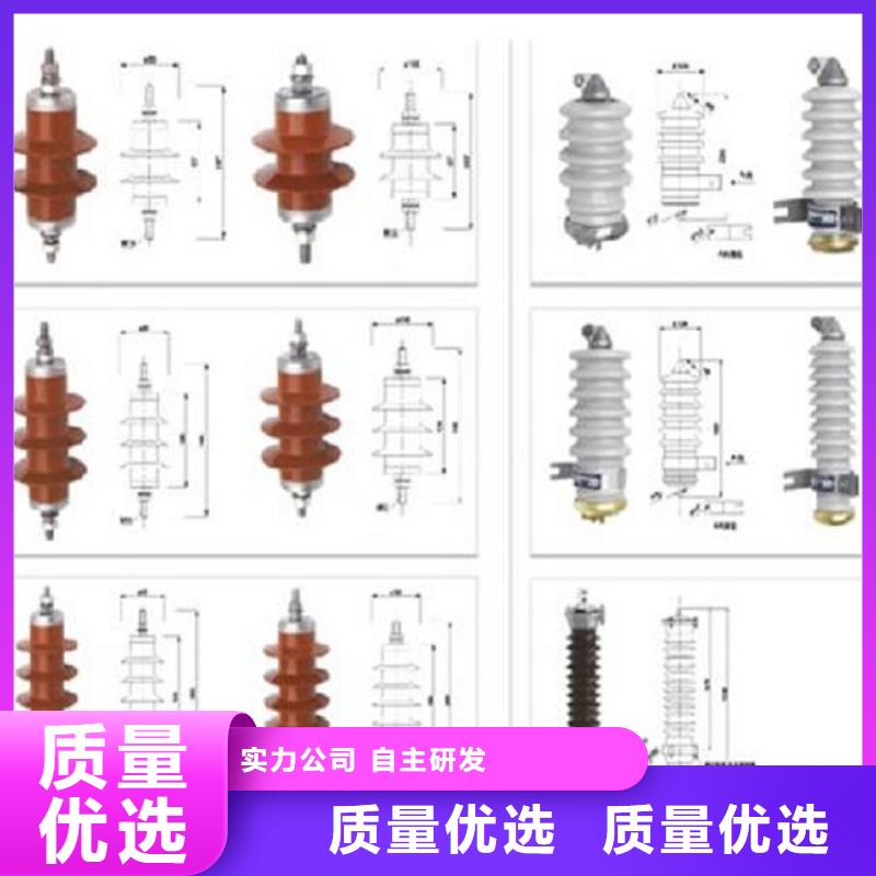 避雷器Y20W-648/1491W【羿振电气】