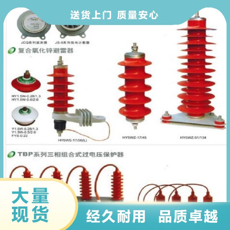 避雷器Y10W1-51/134W【浙江羿振电气有限公司】