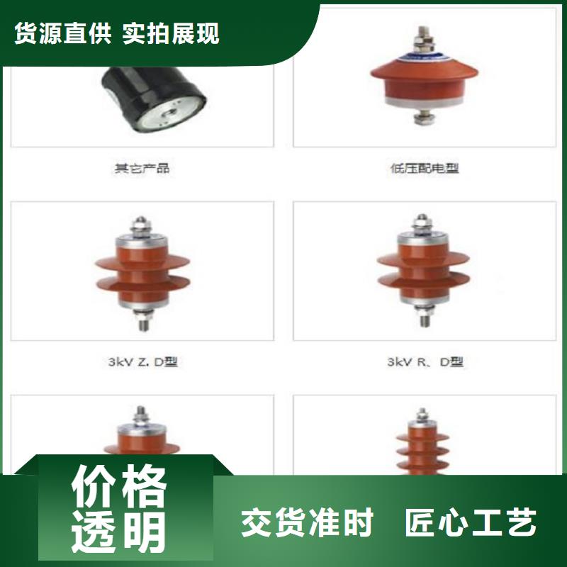 避雷器Y10W1-200/496【羿振电气】