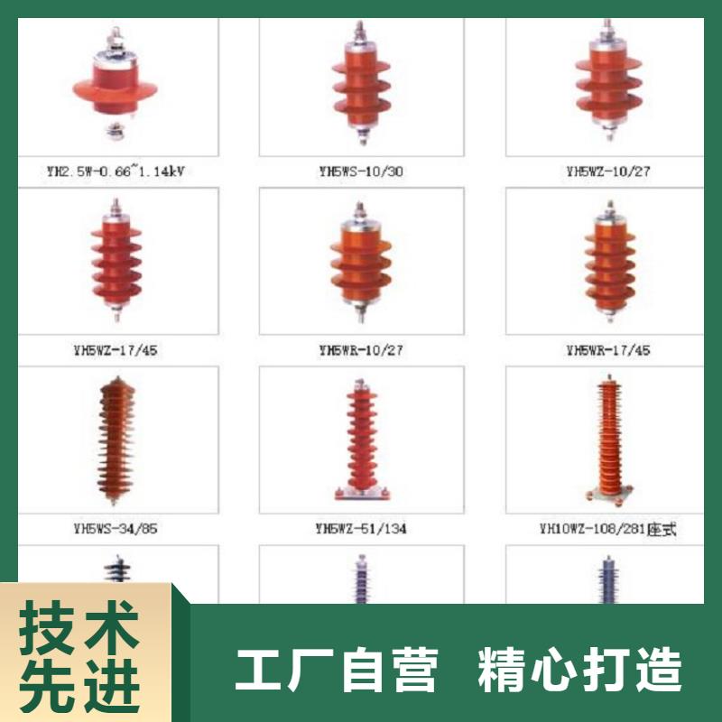 避雷器YH10WX-100/265TD【羿振电气】