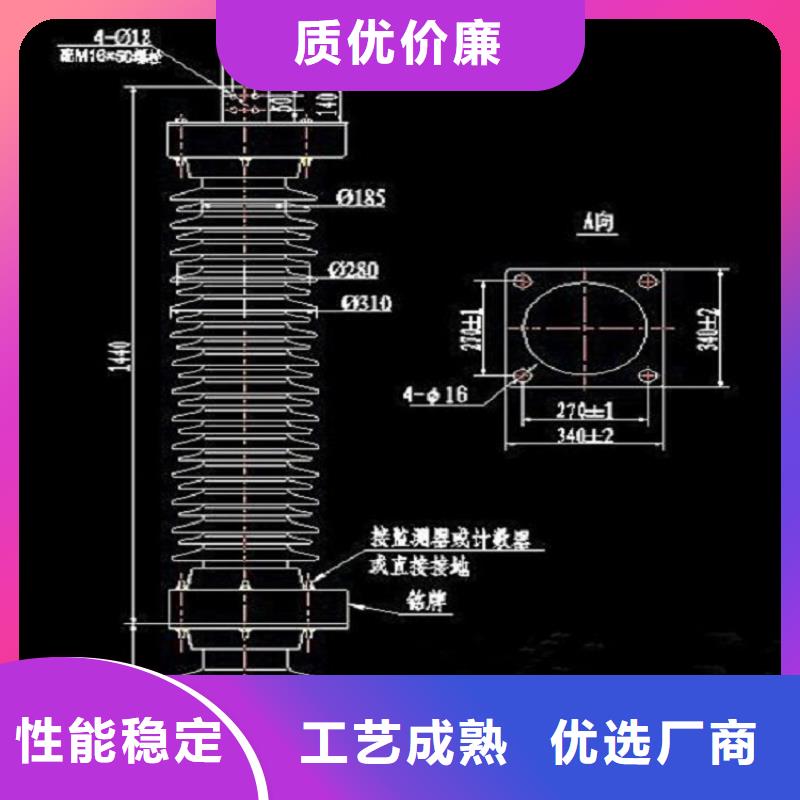 HY10WX-51/134【羿振电力】