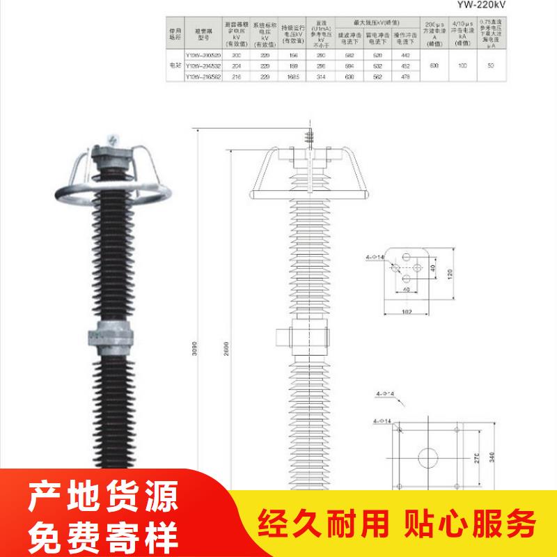 【避雷器】Y10W-100/260