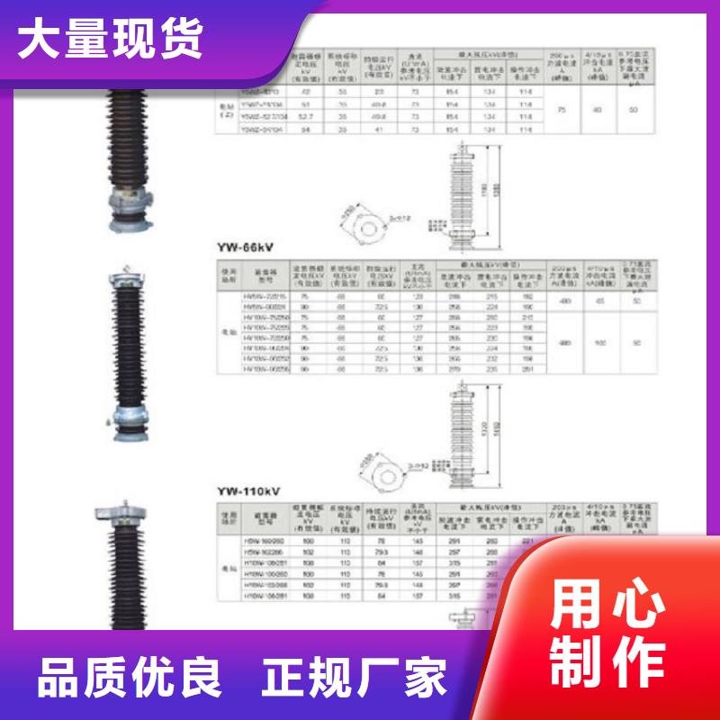 氧化锌避雷器Y10W-192/500浙江羿振电气有限公司