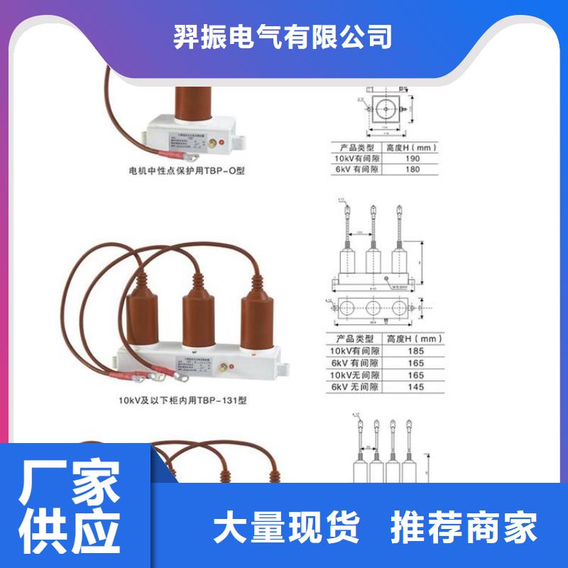 过电压保护器TBP-A-6.3/85-J