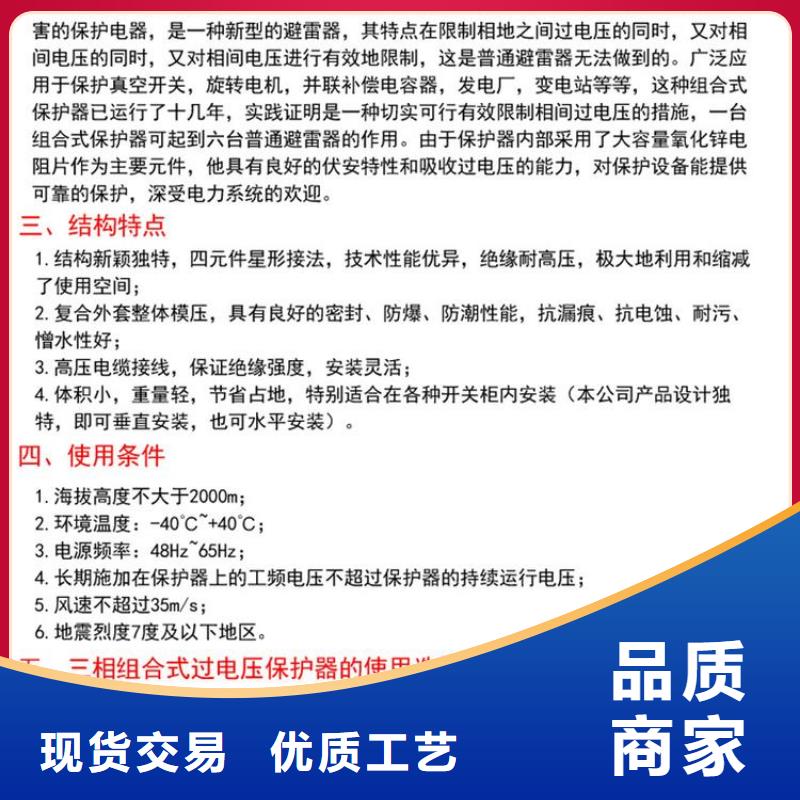 过电压保护器(组合式避雷器)YH2.5WD-13.5/38.7*13.5/31.0