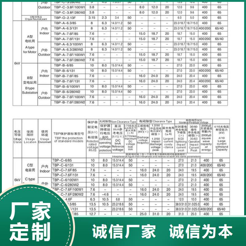 保护器(组合式避雷器)TBF-B-42F/310