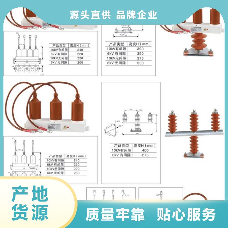 【组合式避雷器】TBP-C-7.6F/131