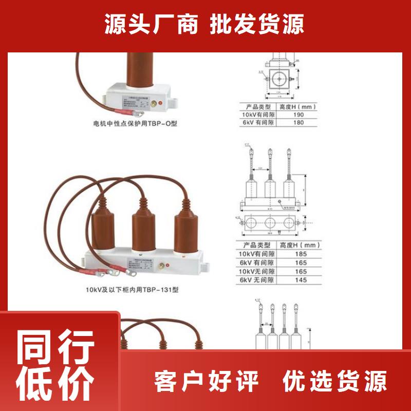 过电压保护器TBP-A-6.3/85-J