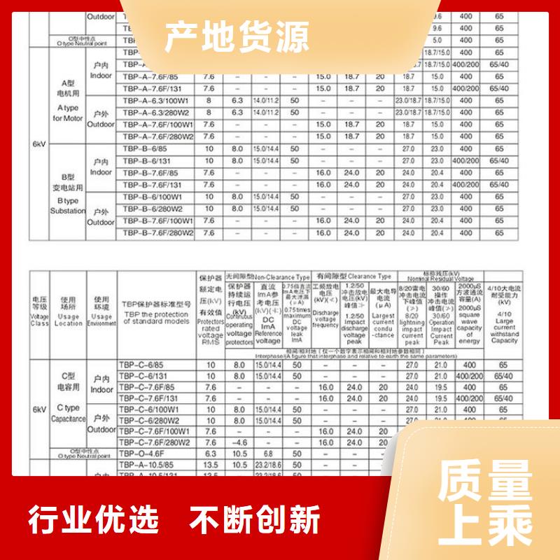 【组合式避雷器】TBP-B-42F/400W