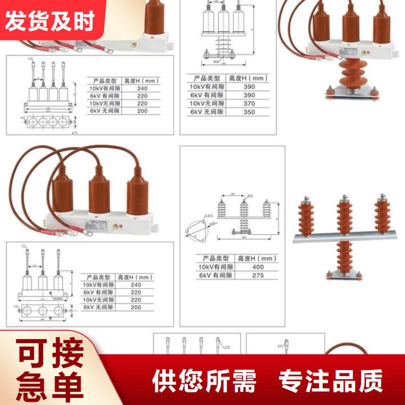 保护器(组合式避雷器)SYB-B-42/630W2