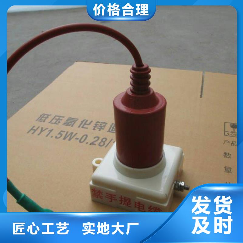 保护器(组合式避雷器)TBP-W-C/6-F组合过电压保护器