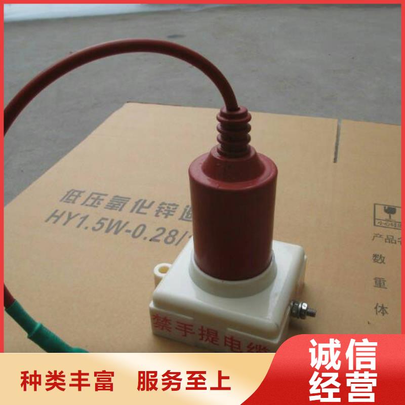 過電壓保護器(組合式避雷器)TBP-C-12.7/131