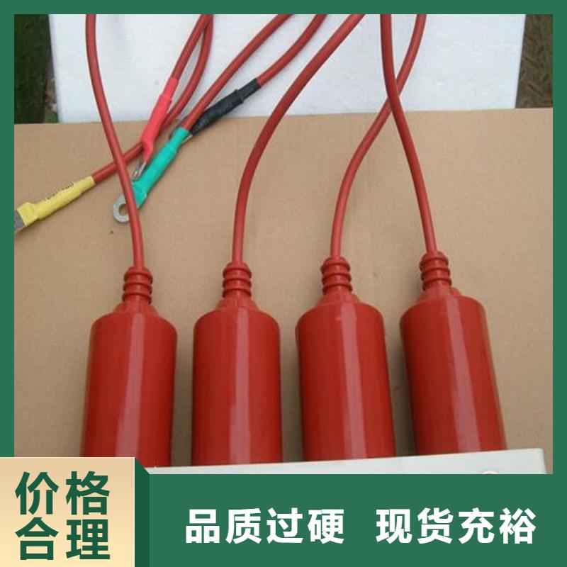 过电压保护器(组合式避雷器)TBP-B-7.6/100W1