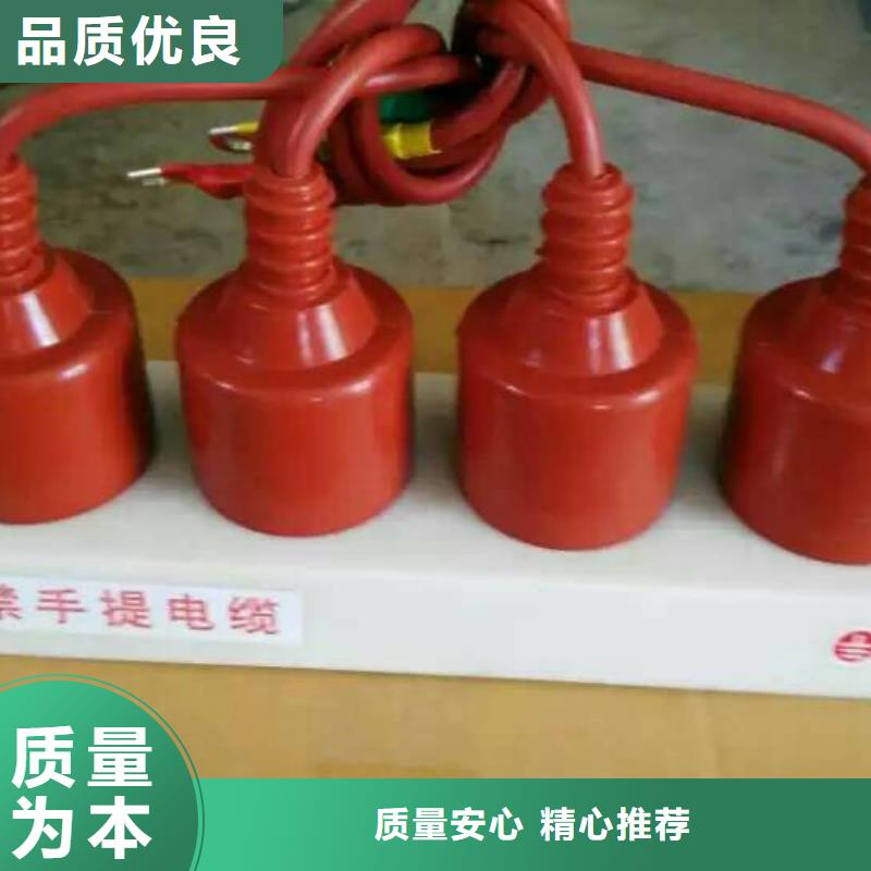 保护器(组合式避雷器)YH5CS-12.7/45*12.7/45