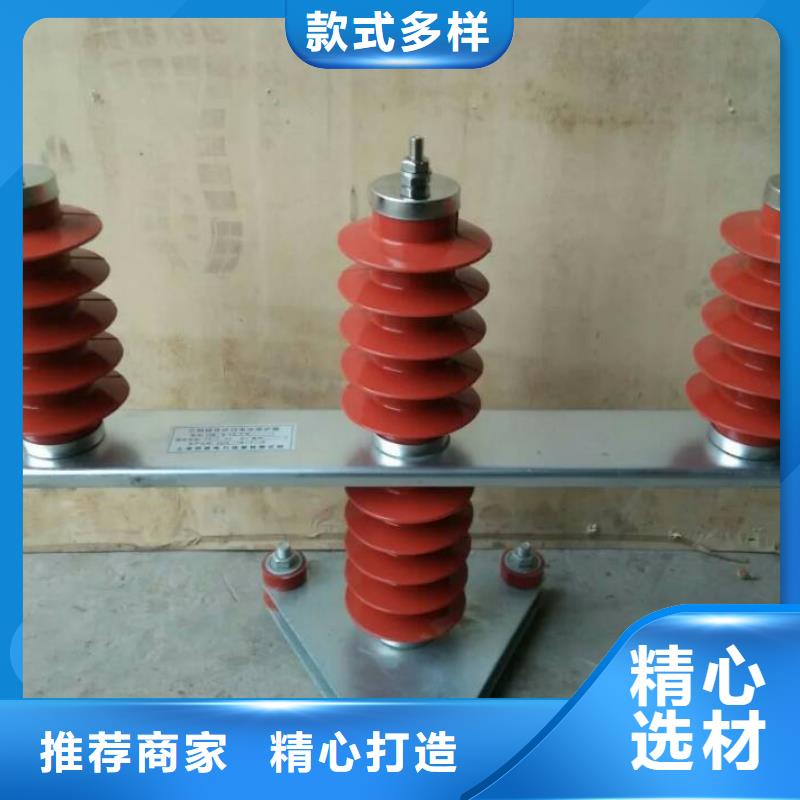 【羿振電力牌】過電壓保護器TBP-B-6.3/85-J