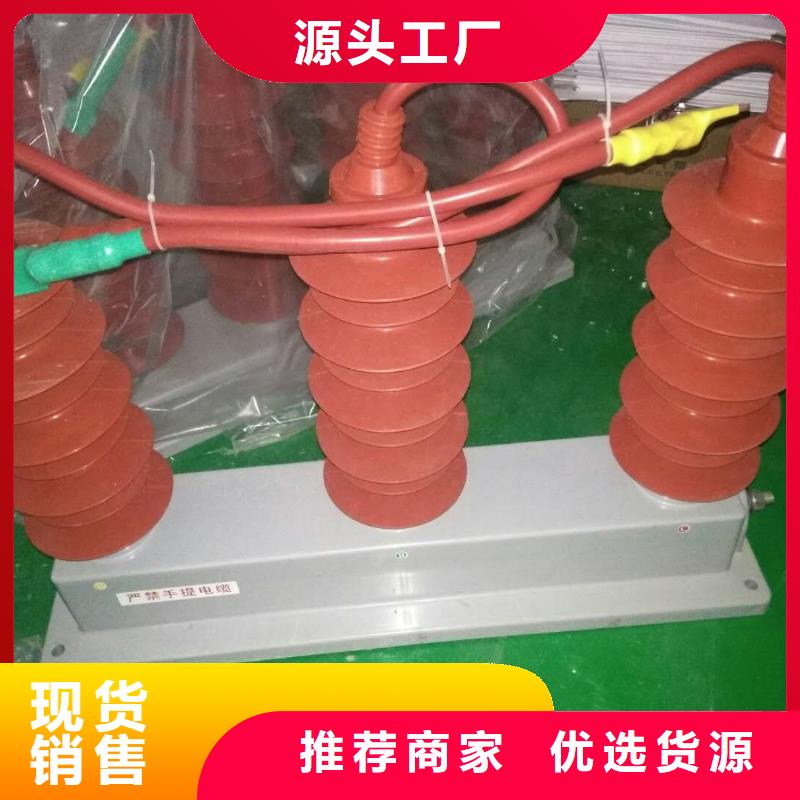 保護器(組合式避雷器)TBP-W-A/6-F組合過電壓保護器