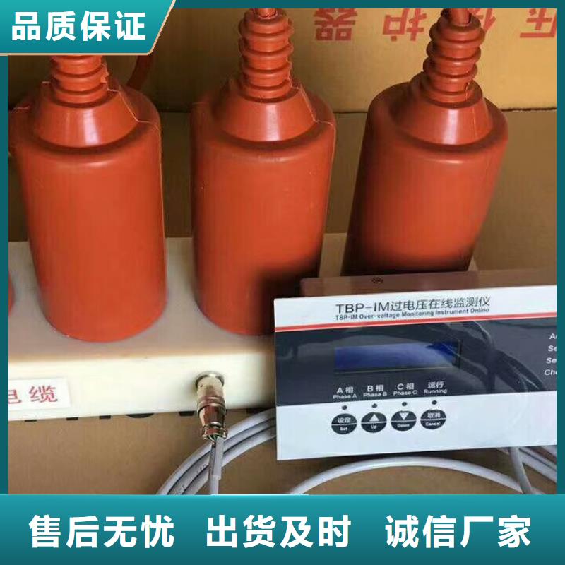 过电压保护器(组合式避雷器)TBP-B-7.6/100W1