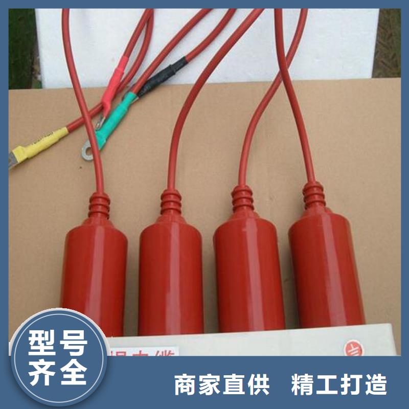 【羿振電力牌】過電壓保護器TBP-B-42F/630W