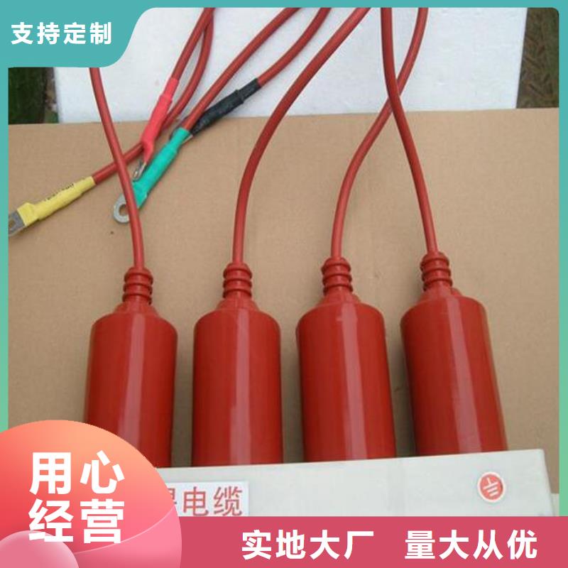 保护器(组合式避雷器)TBP-A-6.3/85