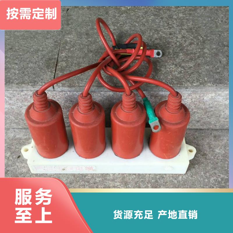 过电压保护器SYB-B-7.6KV/100W1