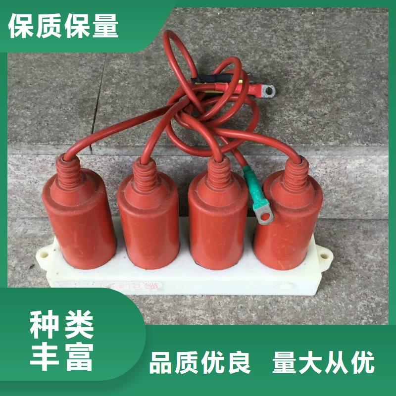 【過電壓保護(hù)器】TBP-C-42/200