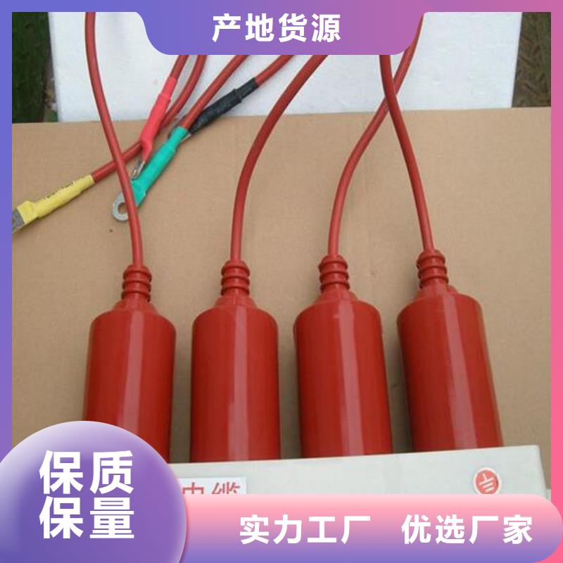 保护器(组合式避雷器)BSTG-B-6.3-J