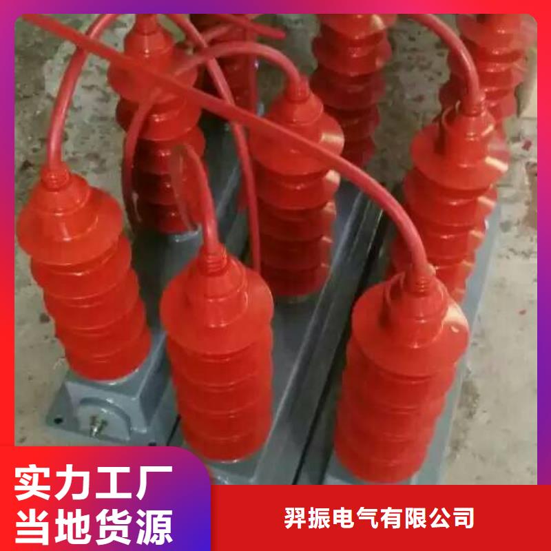 〖过电压保护器〗HTB-R-35KV/300询问报价