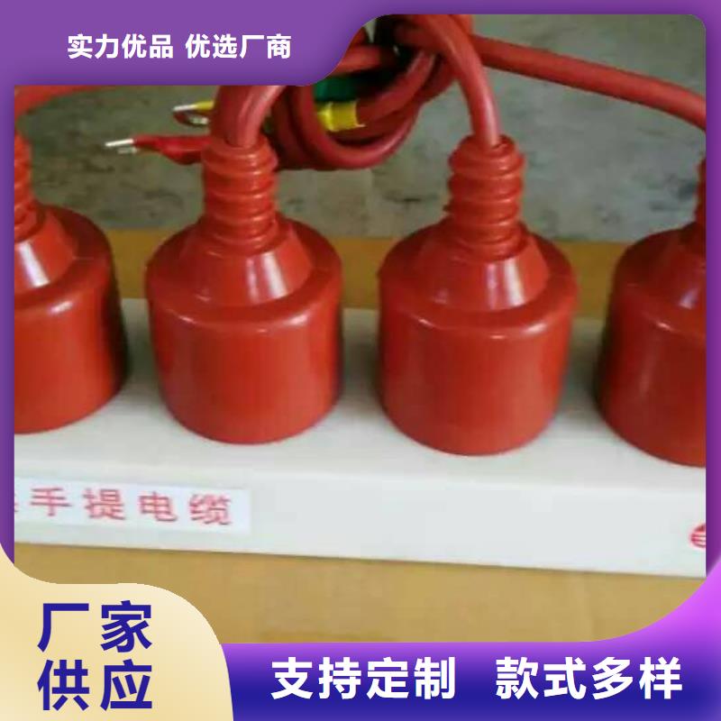 保护器(组合式避雷器)TBP-A-6.3/85