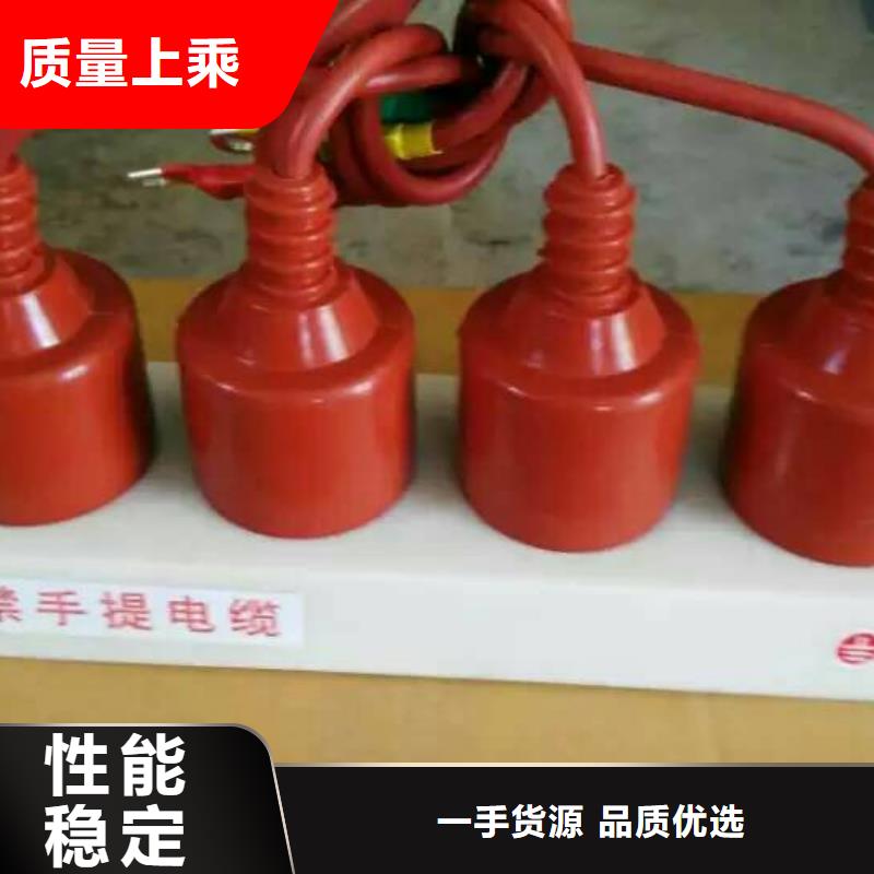 【羿振電力牌】過電壓保護器TBP-B-42F/630W