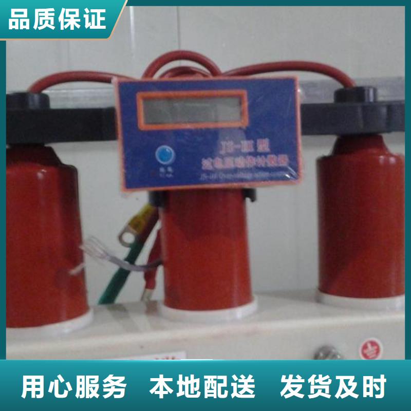 【羿振電力牌】過電壓保護器TBP-B-42F/630W