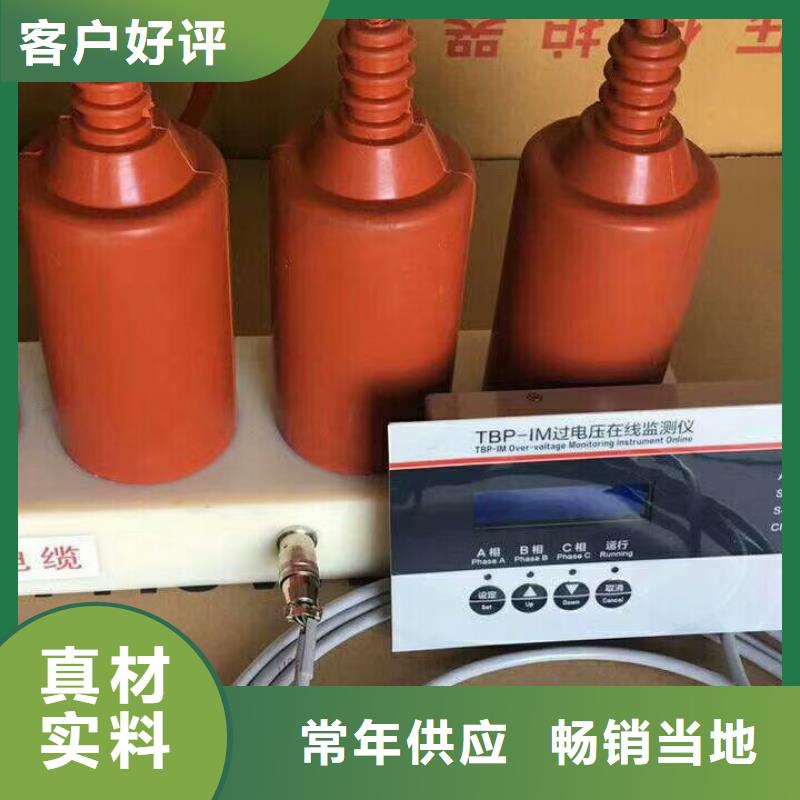 【羿振電力牌】過電壓保護器TBP-B-42F/630W